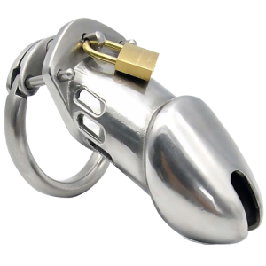 Cage de chasteté GB 6000 L