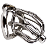 Cage de chasteté Homme the chrome ball