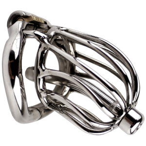 Cage de chasteté Homme the chrome ball