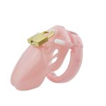 Cage de chasteté gb6000 rose clair
