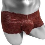 Dentelle délicate sur culotte pour femme